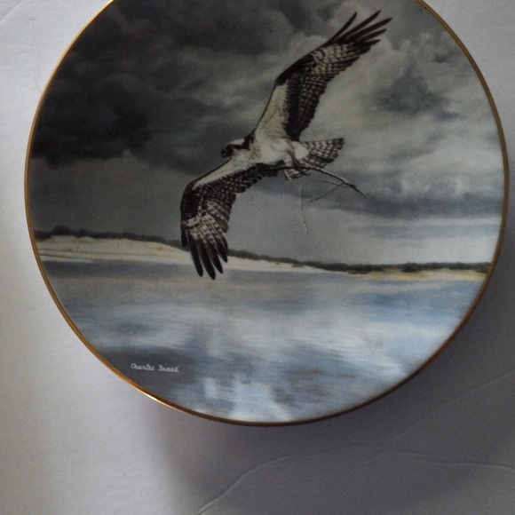 WS George collectable plate- Soaring Majesty collection - Picture 1 of 3